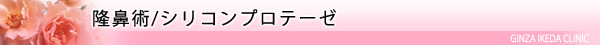 美容皮膚科・隆鼻術 シリコンプロテーゼ/東京皮膚科・形成外科