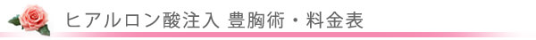 美容外科・豊胸手術 料金表/東京皮膚科・形成外科