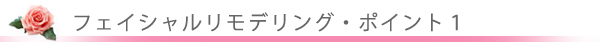 美容外科・美容皮膚科・フェイシャルリモデリング/東京皮膚科・形成外科