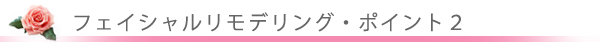 美容外科・美容皮膚科・フェイシャルリモデリング/東京皮膚科・形成外科