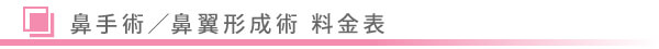 美容外科・鼻手術 鼻翼形成術 料金表/東京皮膚科・形成外科