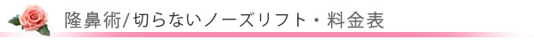 美容外科・隆鼻術 ヒアルロン酸 料金表/東京皮膚科・形成外科